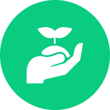 atividades agrícolas